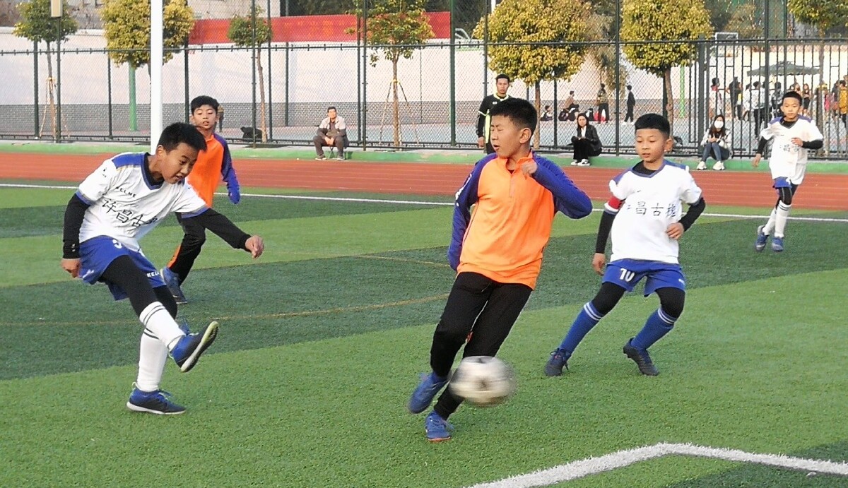 都为我们提 都为我们提